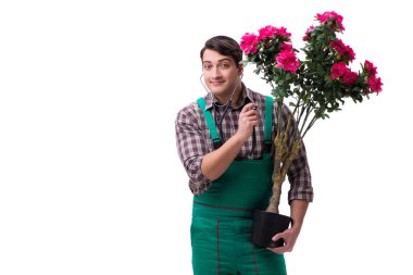 Genç bahçıvan beyazı izole etmiş.