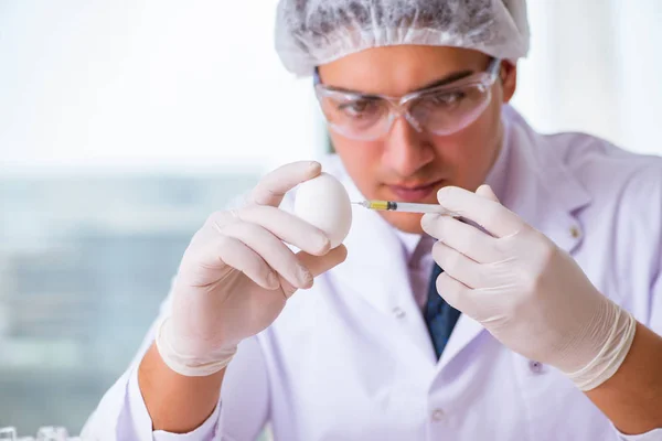 Näringsexpert som testar livsmedelsprodukter i labb — Stockfoto