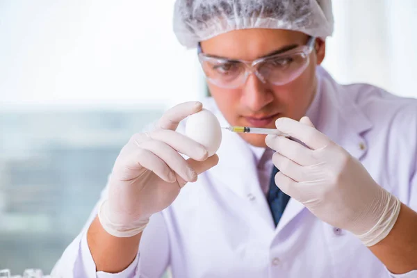 Nutrition expert testing food products in lab