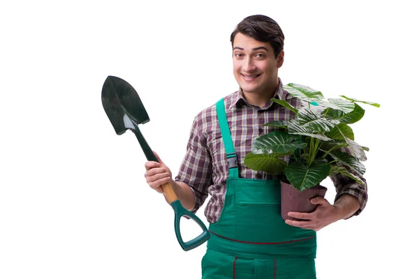 Young man gardener isolated on white — Stock Photo, Image