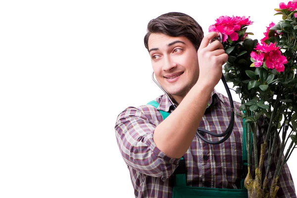 Hombre joven jardinero aislado en blanco — Foto de Stock