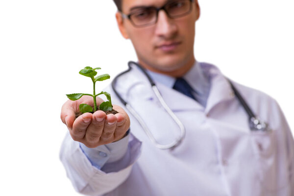 Scientist with green seedling in glass isolated on white