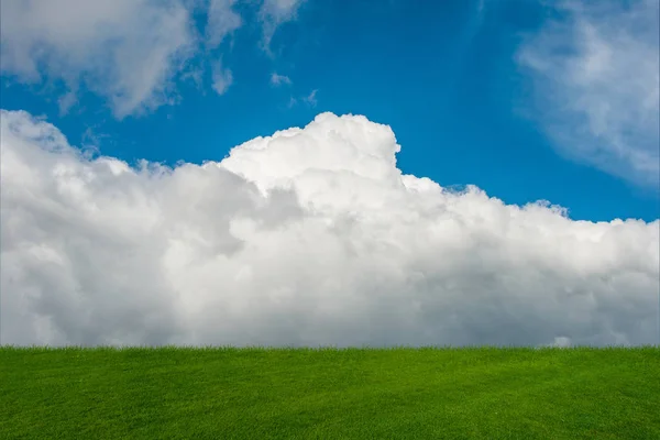 Céu nublado e grama verde no conceito de natureza — Fotografia de Stock