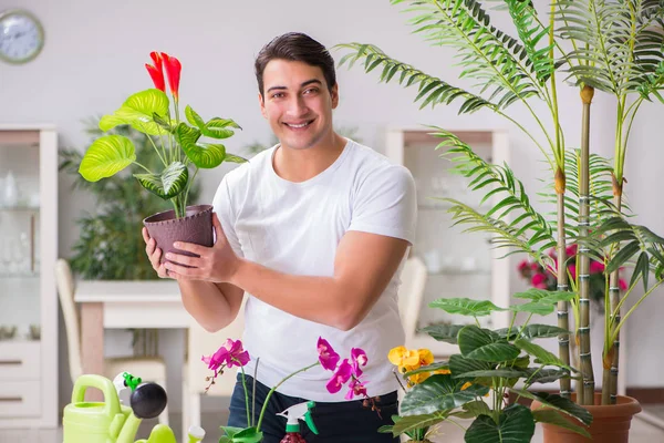 Giovane uomo nel concetto di giardinaggio a casa — Foto Stock