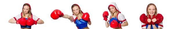 Female boxer isolated on the white background — Stock Photo, Image