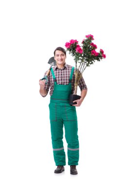 Genç bahçıvan beyazı izole etmiş.