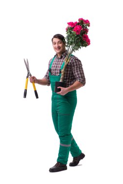 Genç bahçıvan beyazı izole etmiş.