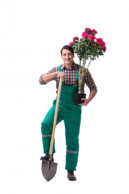 Genç bahçıvan beyazı izole etmiş.