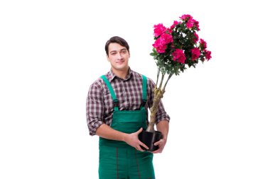 Genç bahçıvan beyazı izole etmiş.