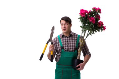 Genç bahçıvan beyazı izole etmiş.