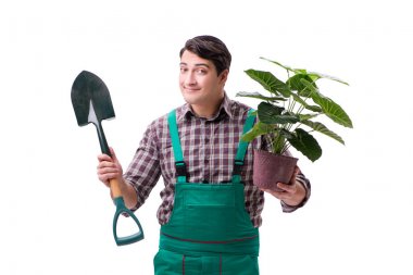 Genç bahçıvan beyazı izole etmiş.