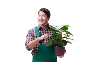 Genç bahçıvan beyazı izole etmiş.