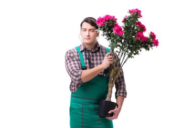 Genç bahçıvan beyazı izole etmiş.