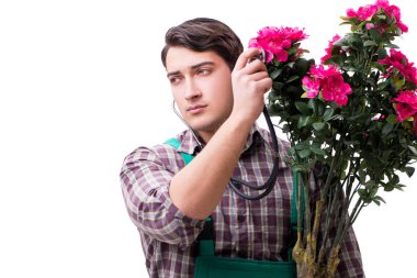 Genç bahçıvan beyazı izole etmiş.