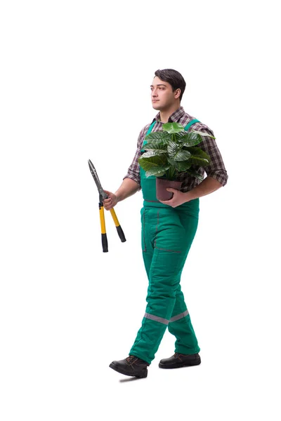 Jeune homme jardinier isolé sur blanc — Photo