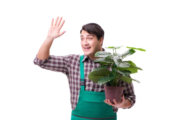 Young man gardener isolated on white — Stock Photo, Image