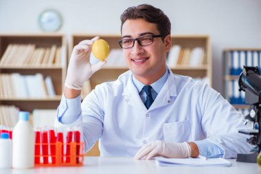 Bilim adamı organik meyve ve sebzeler üzerinde çalışıyor.