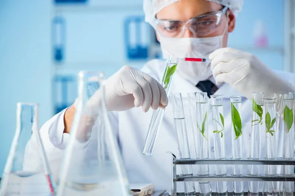 Concepto de biotecnología con científico en laboratorio —  Fotos de Stock