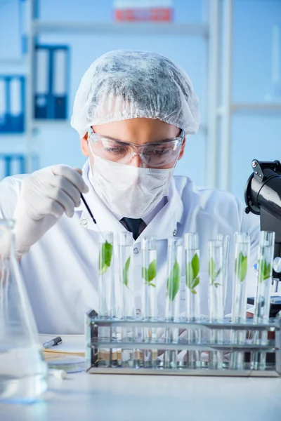 Concept de biotechnologie avec scientifique en laboratoire — Photo