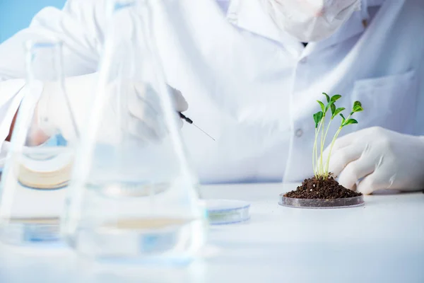 Conceito de biotecnologia com cientista em laboratório — Fotografia de Stock