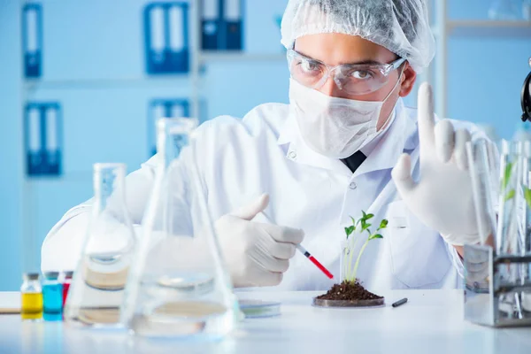 Concepto de biotecnología con científico en laboratorio —  Fotos de Stock