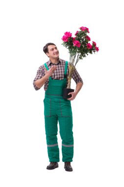 Genç bahçıvan beyazı izole etmiş.