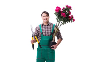 Genç bahçıvan beyazı izole etmiş.