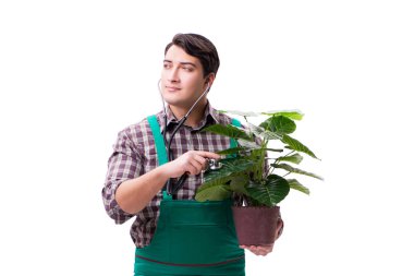 Genç bahçıvan beyazı izole etmiş.