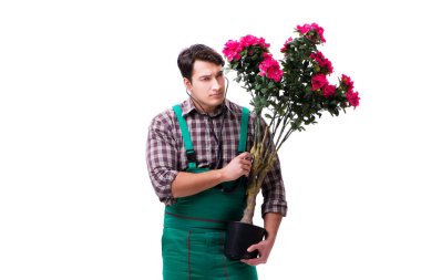 Genç bahçıvan beyazı izole etmiş.