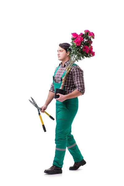 Jeune homme jardinier isolé sur blanc — Photo