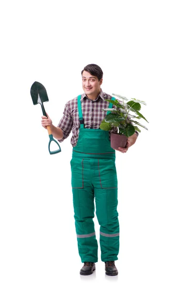 Jovem jardineiro isolado em branco — Fotografia de Stock