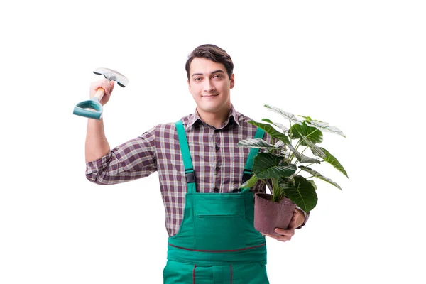 Mladý muž zahradník izolovaný na bílém — Stock fotografie