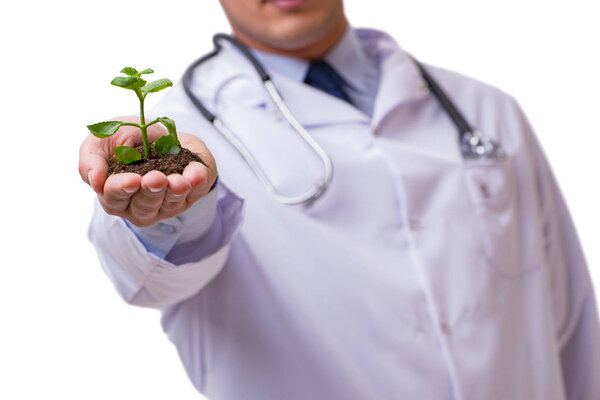 Scientist with green seedling in glass isolated on white