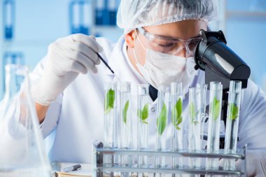 Laboratuvarda bilim adamıyla biyoteknoloji kavramı