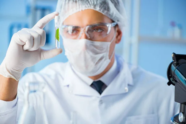 Conceito de biotecnologia com cientista em laboratório — Fotografia de Stock