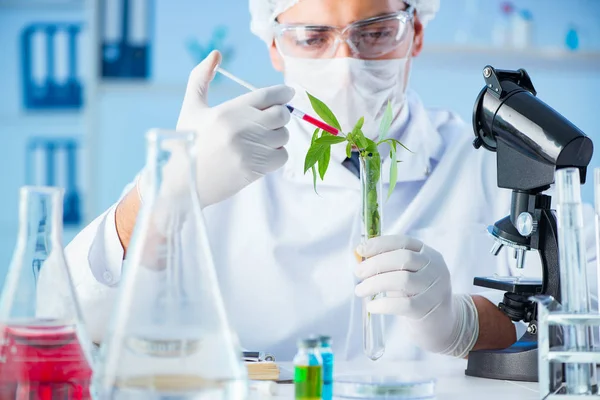 Laboratuvarda bilim adamıyla biyoteknoloji kavramı