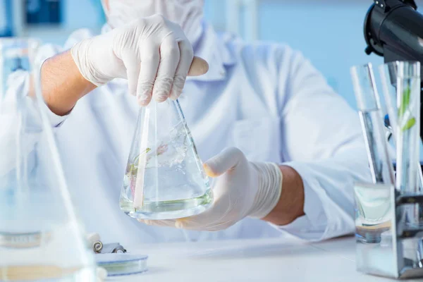 Concetto biotecnologico con scienziato in laboratorio — Foto Stock