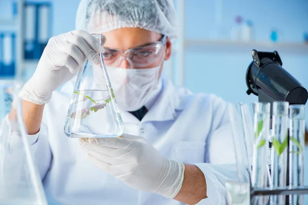 Biotechnologický koncept s vědcem v laboratoři — Stock fotografie