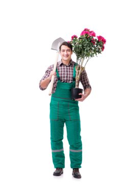 Genç bahçıvan beyazı izole etmiş.