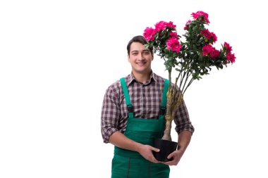 Genç bahçıvan beyazı izole etmiş.