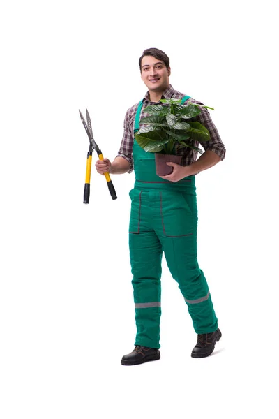 Jeune homme jardinier isolé sur blanc — Photo