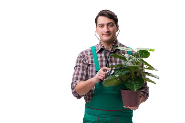 Hombre joven jardinero aislado en blanco — Foto de Stock