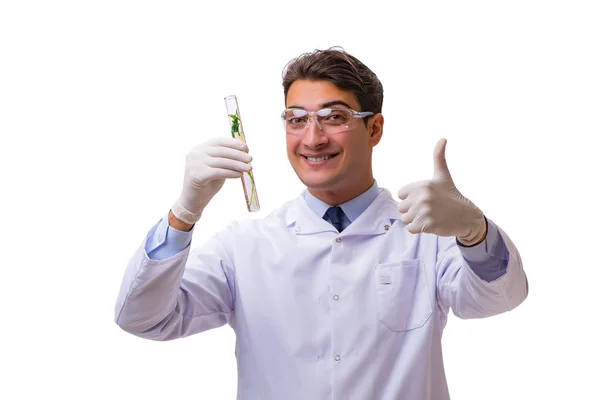 stock image Scientist with green seedling in glass isolated on white