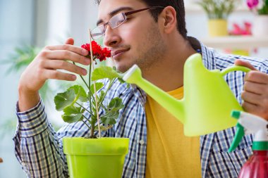 Çiçekçide çalışan genç bir adam.