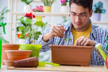 Çiçekçide çalışan genç bir adam.