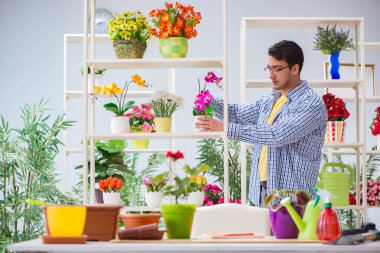 Çiçekçide çalışan genç bir adam.