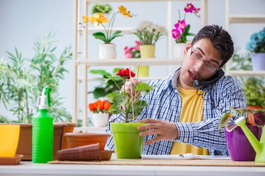 Çiçekçide çalışan genç bir adam.