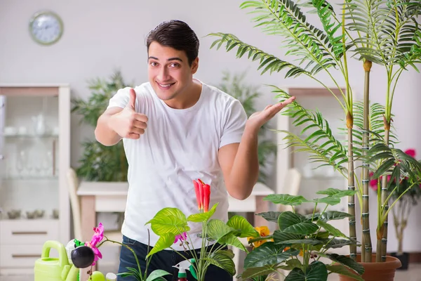 Jovem em jardinagem conceito em casa — Fotografia de Stock