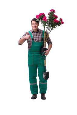 Genç bahçıvan beyazı izole etmiş.