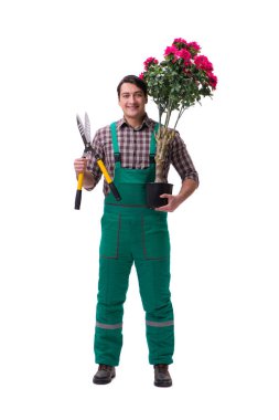 Genç bahçıvan beyazı izole etmiş.